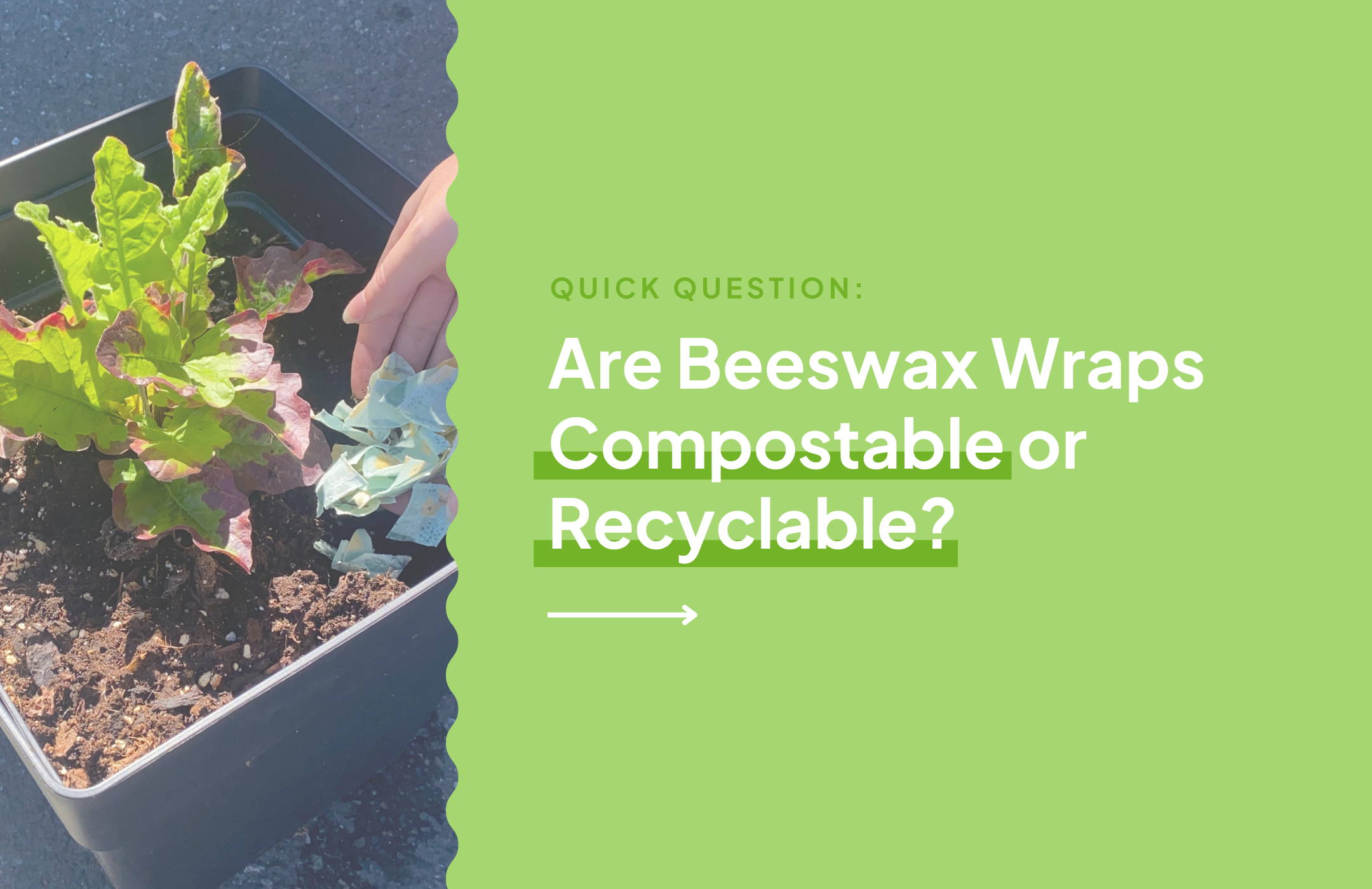 Beeswax Wraps - Gardening Australia