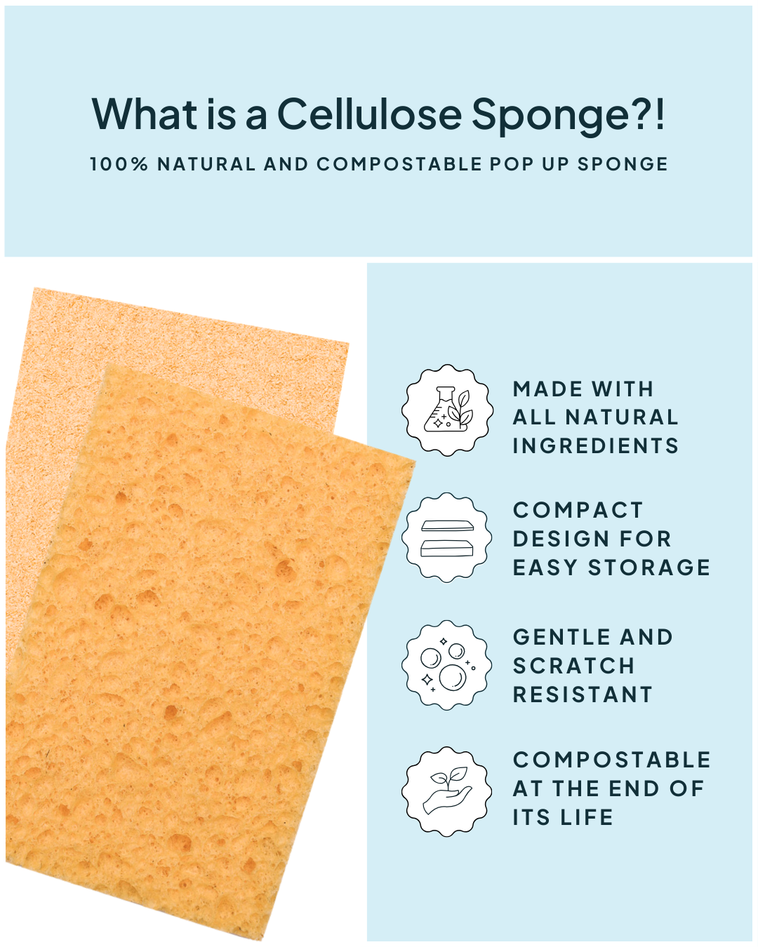 Cellulose Kitchen Sponge - Nature Bee