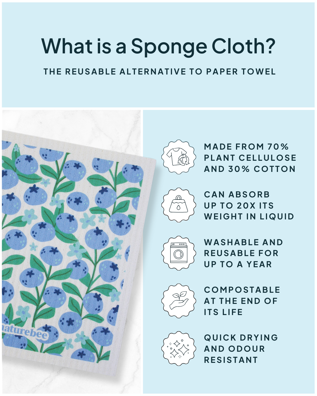 Sponge Cloth Blueberries | Nature Bee