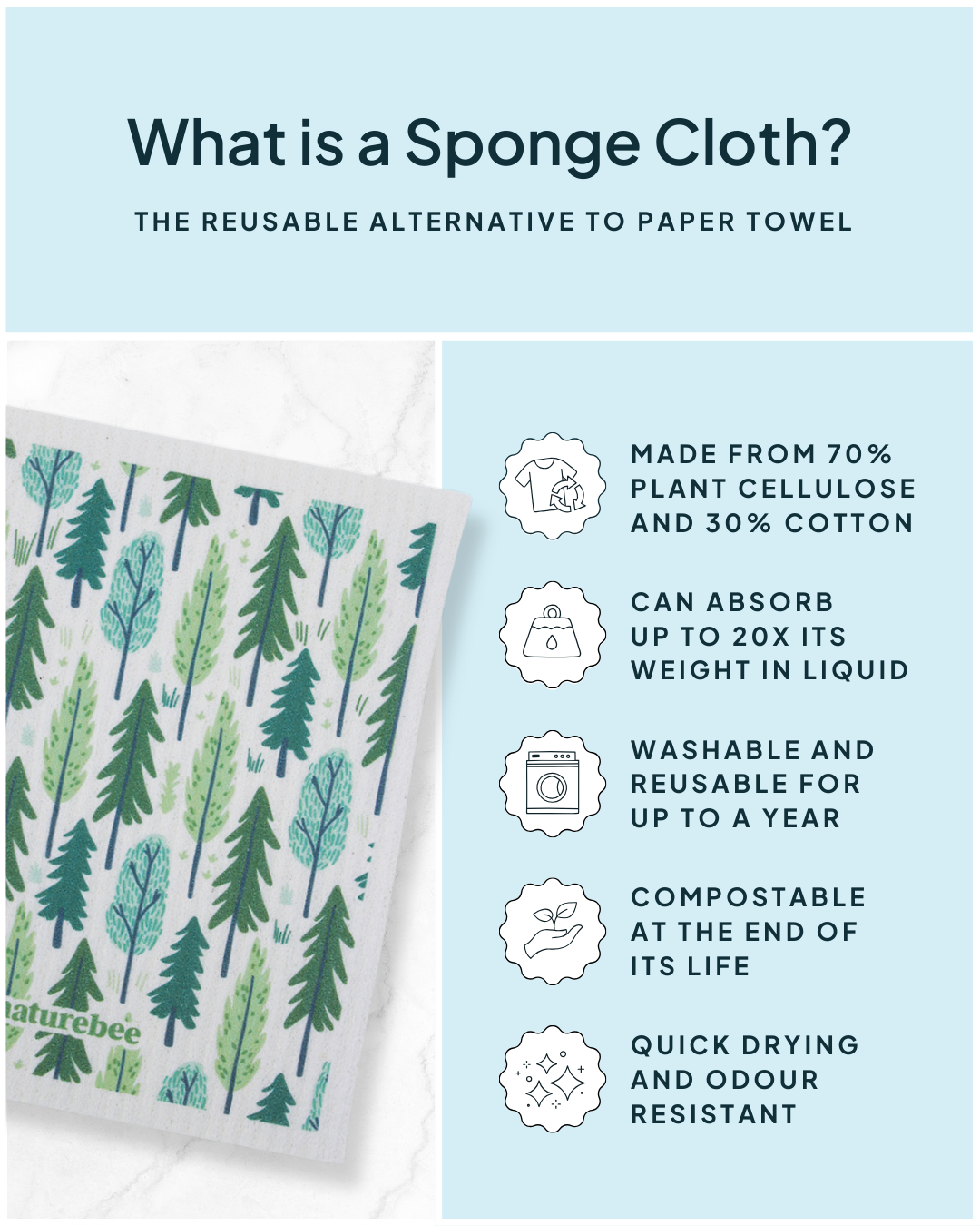 Sponge Cloth Tree | Nature Bee
